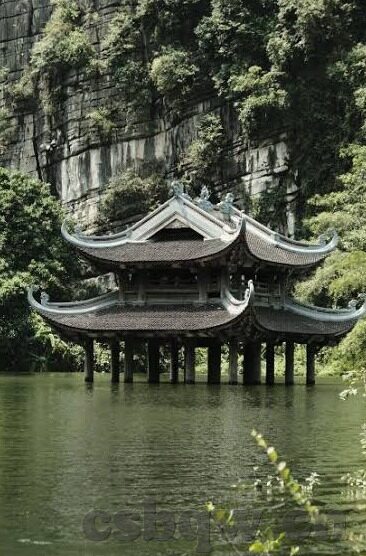 大象传媒在哪-探寻大象传媒的所在，一个关于创新与传播的旅程