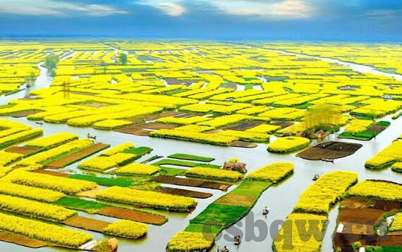 麻豆映画传媒画app下载官网-探索互联网影像艺术新境界——麻豆映画传媒画app下载体验