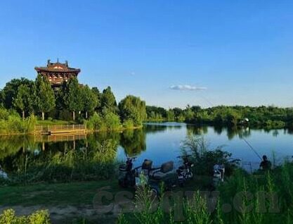 糖心vlog地址-同步时代脉搏，探索糖心VLOG的魅力之旅